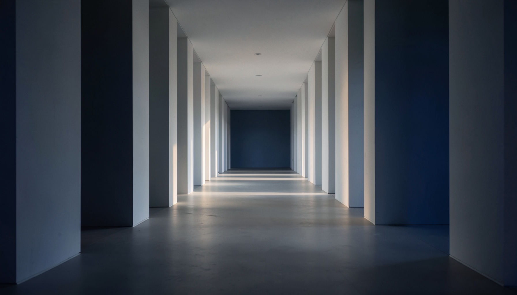 Clean architectural photograph with strong symmetry: a quiet corridor of evenly spaced white pillars receding into soft shadow, cool grey tones with warm indirect light filtering through.